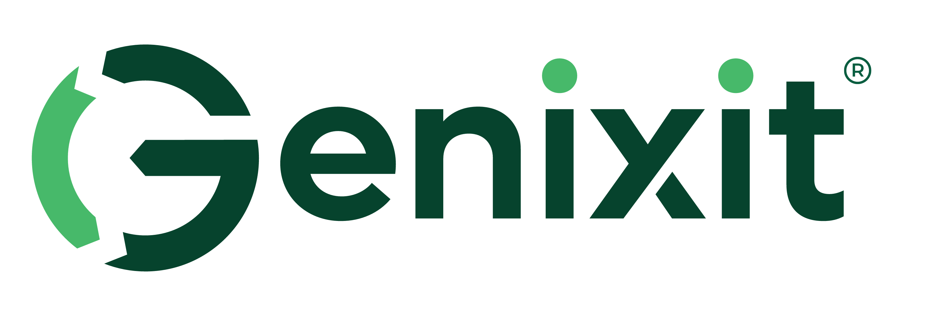 Genixit Logo